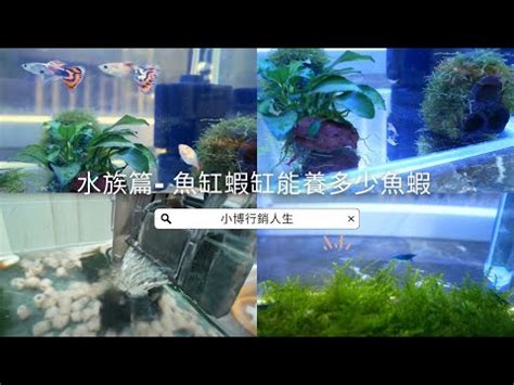 魚缸重量計算